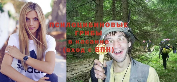 шишки Усмань