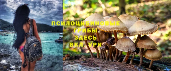 круглые Вязники