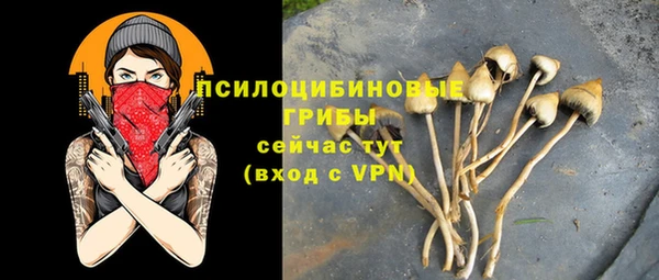 ALPHA-PVP Вяземский