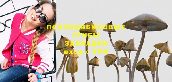 бошки Вязьма