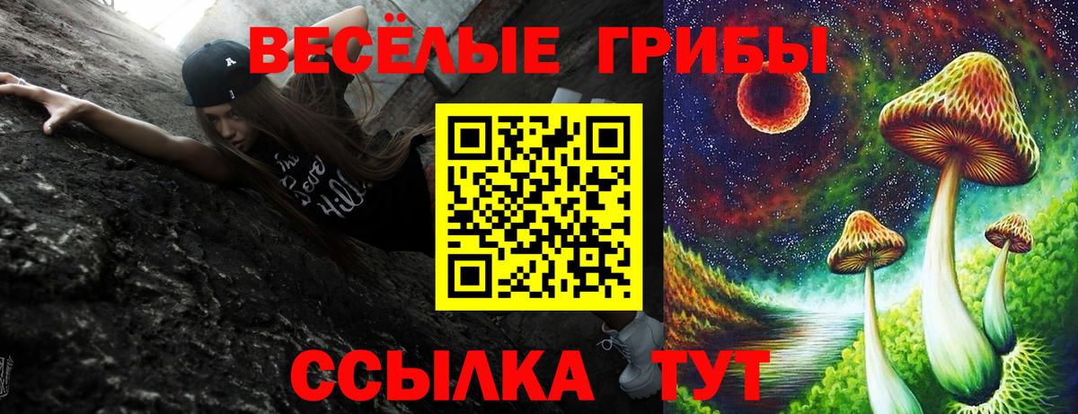 Снежинск  Галлюциногенные грибы Psilocybe  Вход с VPN 